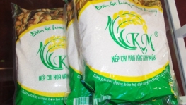 Nếp cái hoa vàng Kinh Môn: Giống gạo nếp ngon nhất Việt Nam
