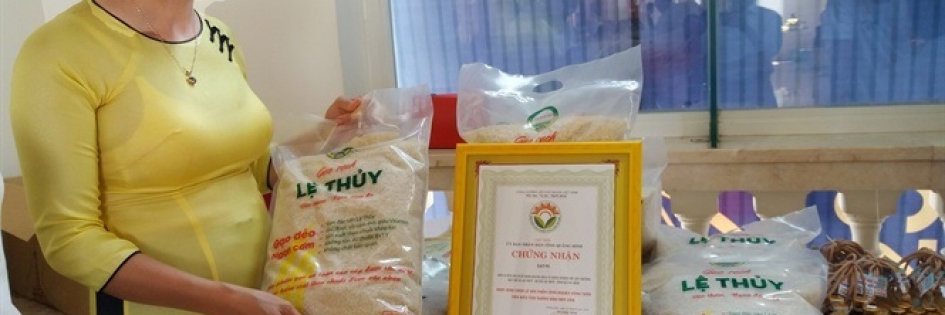 Xây dựng thương hiệu gạo Lệ Thủy - Quảng Bình