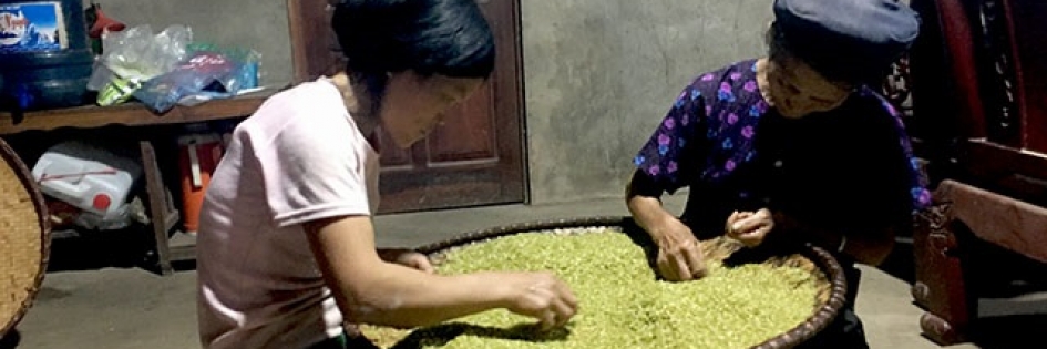 Bắc Kạn: Lạ lùng “cốm thép” Thượng Ân-đặc sản của đặc sản